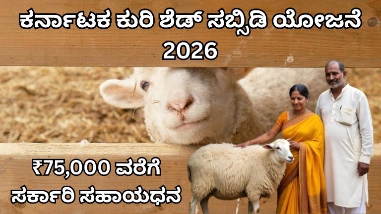 ಕರ್ನಾಟಕ ಕುರಿ ಶೆಡ್ ಸಬ್ಸಿಡಿ ಯೋಜನೆ 2026